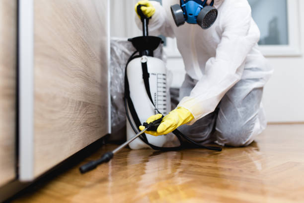 Best Best Pest Control Companies  in Paris, MO