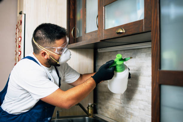 Best Affordable Pest Control Services  in Paris, MO