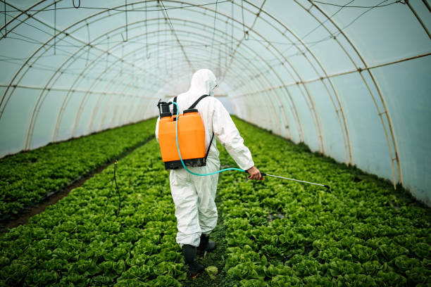 Best Pest Control Treatment  in Paris, MO