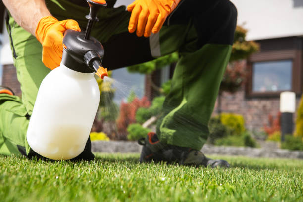 Pest Prevention Services in Paris, MO