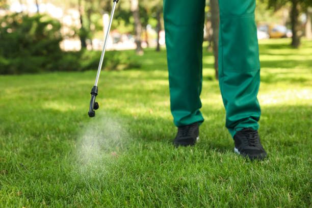 Pest Control for Restaurants in Paris, MO